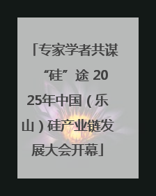 专家学者共谋“硅”途 2025年中国（乐山）硅产业链发展大会开幕