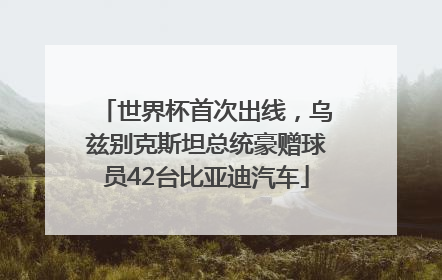 世界杯首次出线，乌兹别克斯坦总统豪赠球员42台比亚迪汽车
