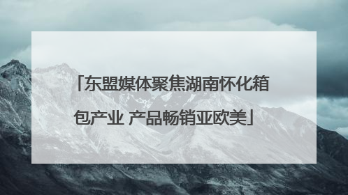 东盟媒体聚焦湖南怀化箱包产业 产品畅销亚欧美