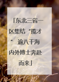东北三省一区集结“揽才” 逾八千海内外博士奔赴而来
