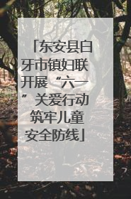 东安县白牙市镇妇联开展“六一”关爱行动 筑牢儿童安全防线
