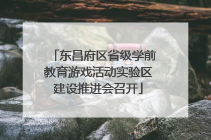 东昌府区省级学前教育游戏活动实验区建设推进会召开