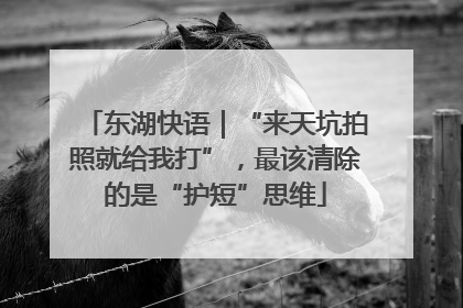 东湖快语｜“来天坑拍照就给我打”，最该清除的是“护短”思维