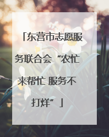 东营市志愿服务联合会“农忙来帮忙 服务不打烊”