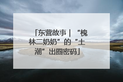 东营故事｜“槐林二奶奶”的“土潮”出圈密码