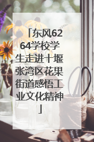 东风6264学校学生走进十堰张湾区花果街道感悟工业文化精神