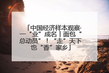 中国经济样本观察·一“业”成名丨面包“总动员”！“走”天下也“香”家乡
