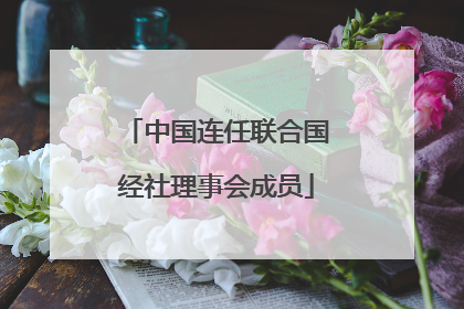 中国连任联合国经社理事会成员