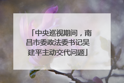 中央巡视期间，南昌市委政法委书记吴建平主动交代问题