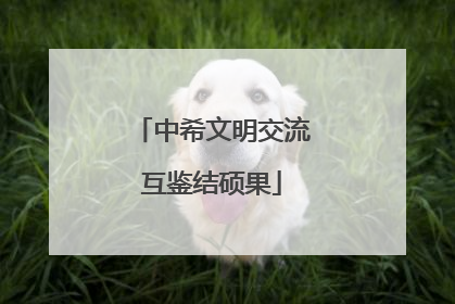 中希文明交流互鉴结硕果