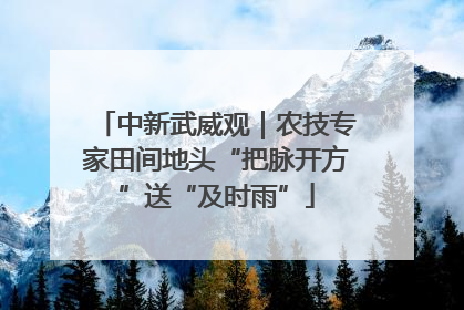 中新武威观｜农技专家田间地头“把脉开方”送“及时雨”