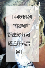 中欧班列“东通道”新建绥芬河隧道正式贯通