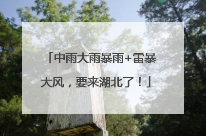 中雨大雨暴雨+雷暴大风，要来湖北了！