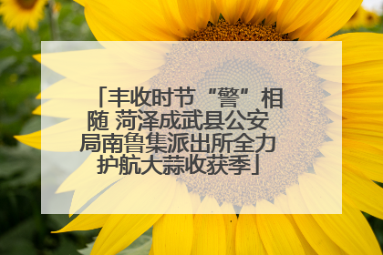 丰收时节“警”相随 菏泽成武县公安局南鲁集派出所全力护航大蒜收获季