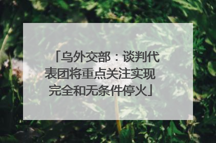 乌外交部：谈判代表团将重点关注实现完全和无条件停火