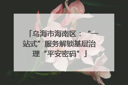 乌海市海南区：“一站式”服务解锁基层治理“平安密码”