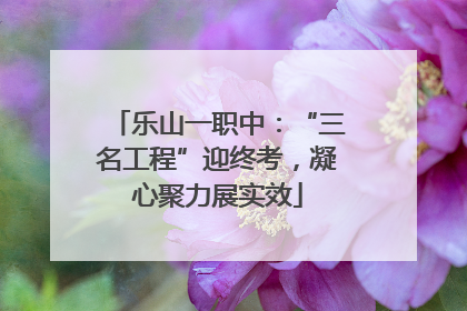 乐山一职中：“三名工程”迎终考，凝心聚力展实效