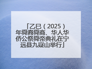 乙巳（2025）年舜裔舜商、华人华侨公祭舜帝典礼在宁远县九嶷山举行