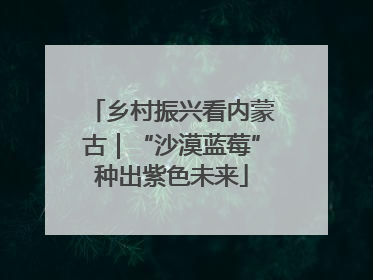 乡村振兴看内蒙古｜“沙漠蓝莓”种出紫色未来