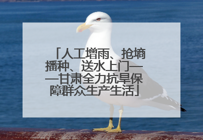 人工增雨、抢墒播种、送水上门——甘肃全力抗旱保障群众生产生活