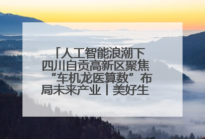 人工智能浪潮下 四川自贡高新区聚焦“车机龙医算数”布局未来产业丨美好生活有“盐”味