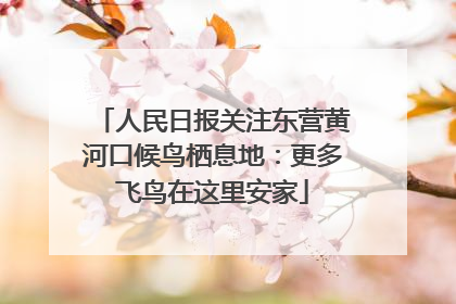 人民日报关注东营黄河口候鸟栖息地：更多飞鸟在这里安家