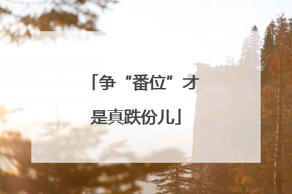 争“番位”才是真跌份儿