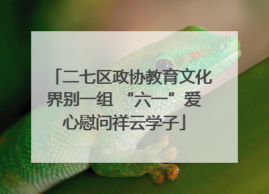 二七区政协教育文化界别一组 “六一”爱心慰问祥云学子