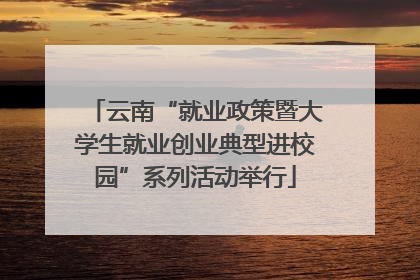 云南“就业政策暨大学生就业创业典型进校园”系列活动举行