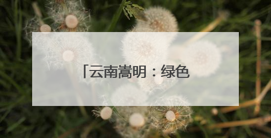 云南嵩明：绿色优质种苗培育 打开“缤纷世界”