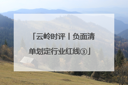 云岭时评丨负面清单划定行业红线③