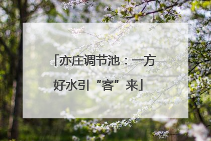 亦庄调节池：一方好水引“客”来