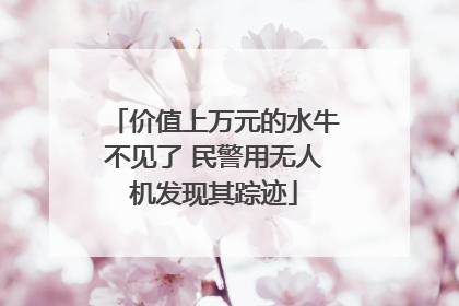 价值上万元的水牛不见了 民警用无人机发现其踪迹