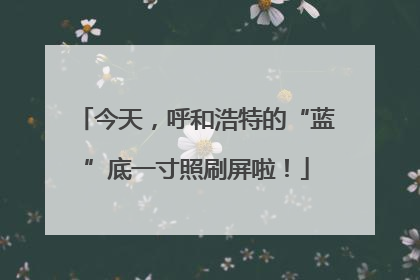 今天，呼和浩特的“蓝”底一寸照刷屏啦！