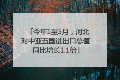 今年1至5月，河北对中亚五国进出口总值同比增长1.1倍