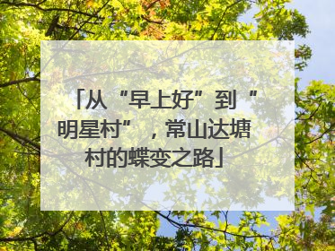 从“早上好”到“明星村”，常山达塘村的蝶变之路