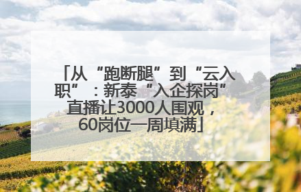 从“跑断腿”到“云入职”：新泰“入企探岗”直播让3000人围观，60岗位一周填满