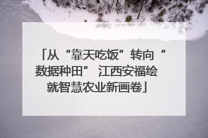 从“靠天吃饭”转向“数据种田” 江西安福绘就智慧农业新画卷