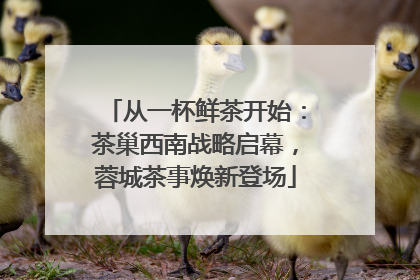 从一杯鲜茶开始：茶巢西南战略启幕，蓉城茶事焕新登场