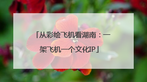 从彩绘飞机看湖南：一架飞机一个文化IP