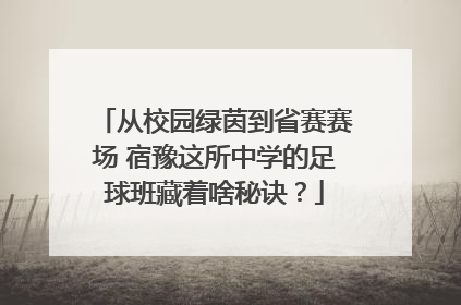从校园绿茵到省赛赛场 宿豫这所中学的足球班藏着啥秘诀？