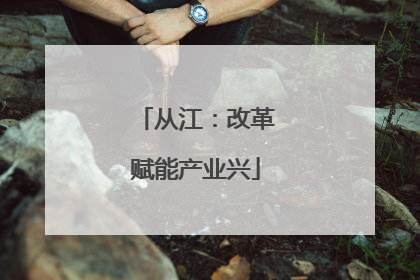 从江：改革赋能产业兴