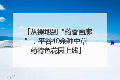 从裸地到“药香画廊”，平谷40余种中草药特色花园上线