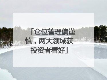 仓位管理偏谨慎，两大领域获投资者看好
