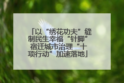 以“绣花功夫”缝制民生幸福“针脚” 宿迁城市治理“十项行动”加速落地