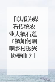以瓜为媒 看传统农业大镇石莲子镇如何唱响乡村振兴协奏曲？