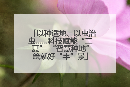 以种适地、以虫治虫……科技赋能“三夏” “智慧种地”绘就好“丰”景
