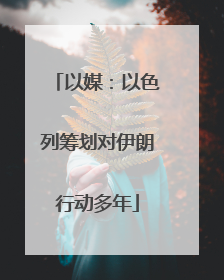 以媒：以色列筹划对伊朗行动多年