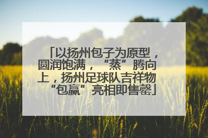以扬州包子为原型，圆润饱满，“蒸”腾向上，扬州足球队吉祥物“包赢”亮相即售罄