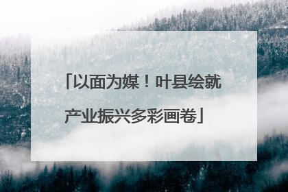 以面为媒！叶县绘就产业振兴多彩画卷